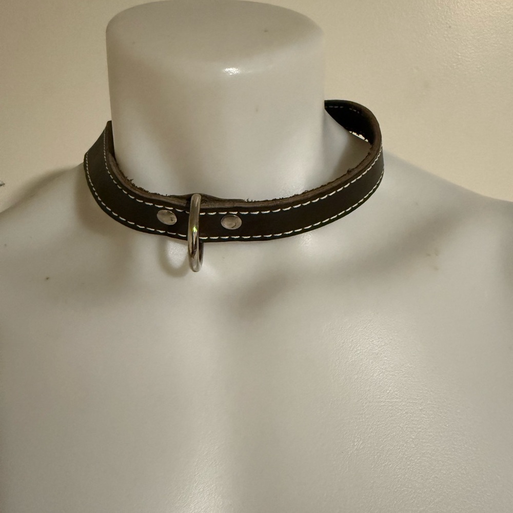 Leather Dog Collar